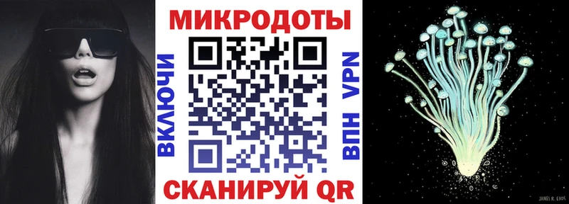 Галлюциногенные грибы Cubensis Гусев